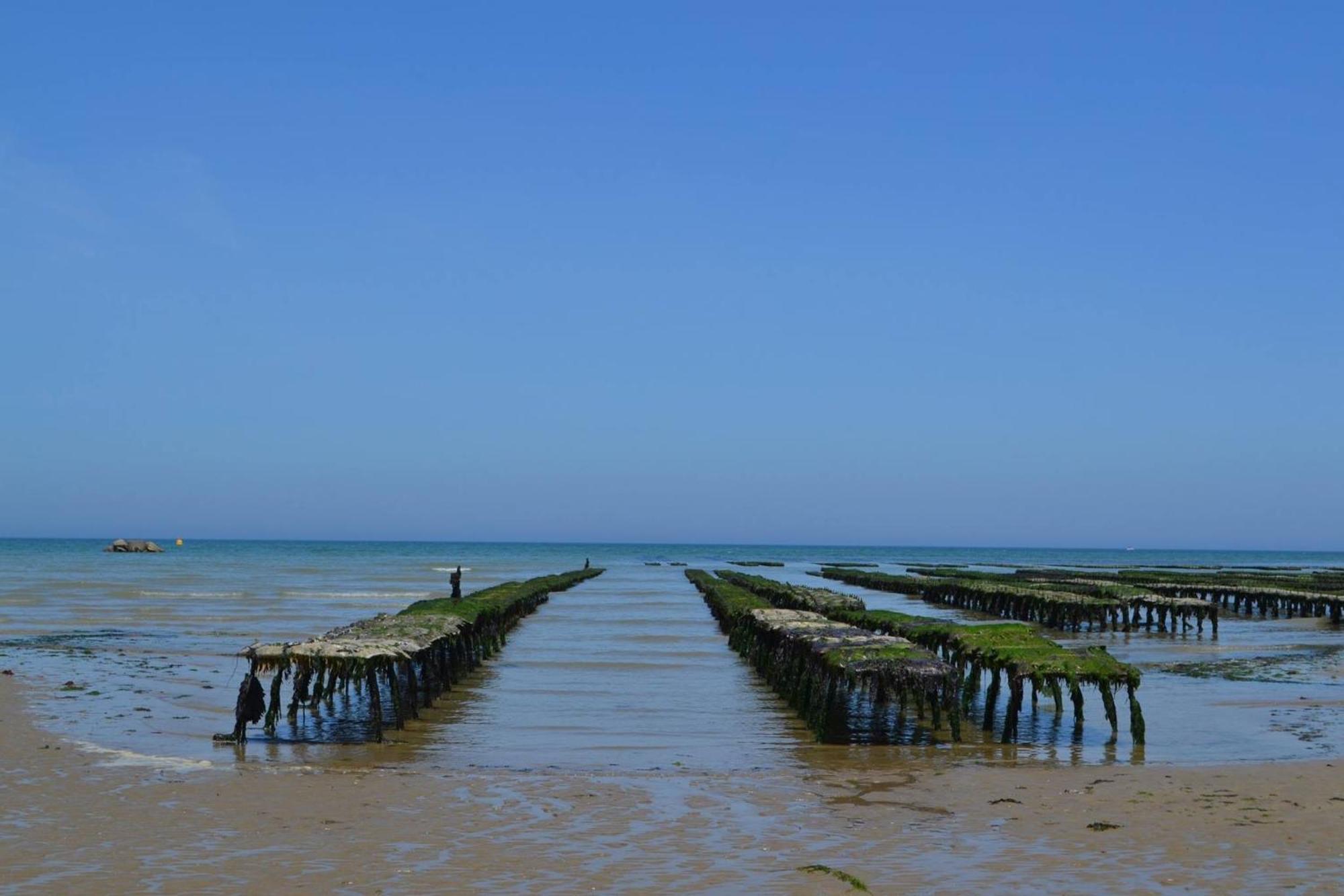 Nid De Pie Grand Duplex Lumineux Cadre Verdoyant Calme A 5 Mn De La Mer Pres Port En Bessin, Bayeux, Omaha Beach, Commes Exterior foto